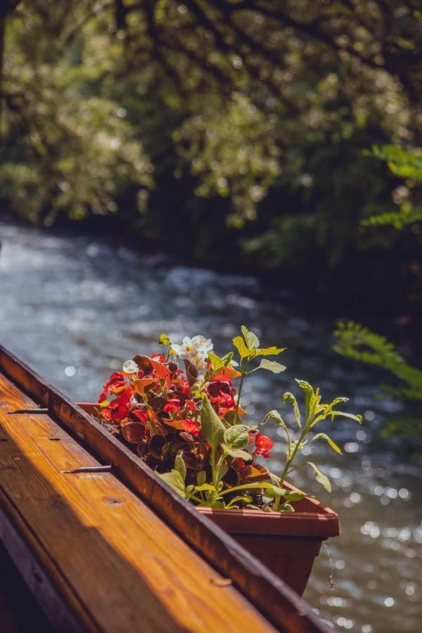 Rafting Kamp Dvije Vrbe Hotell Foca Exteriör bild